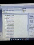 IMG_3231.jpeg