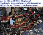 psp_icv_ccv_ofh.jpg